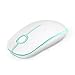 Jelly Comb 2.4G Slim Wireless Mouse with Nano Receiver, Less Noise, Portable Mobile Optical Mice for Notebook, PC, Laptop, Computer, MacBook MS001 (White and Green)