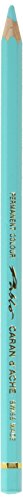 Caran D'ache Pablo Colored Pencil, Turquoise Green (666.191)