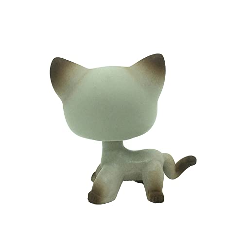 LPSMINPET Rare Mini Pet Toys Short Hair Cat Gray Egyptian Cat Blue Eyes