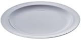 Thunder Group NS110W Dinner Plate, 10-1/4-Inch, White, Set of 12