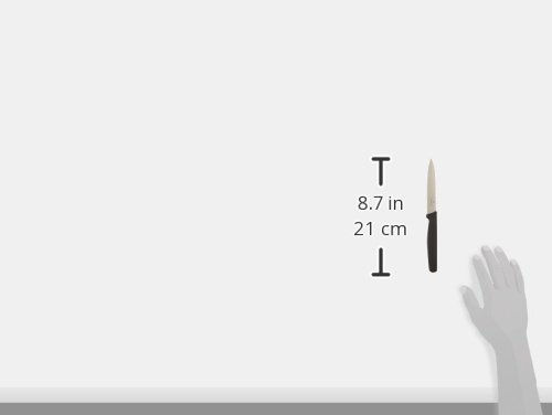 Victorinox Cutlery 4-Inch Utility Knife, Black Polypropylene Handle - //medicalbooks.filipinodoctors.org