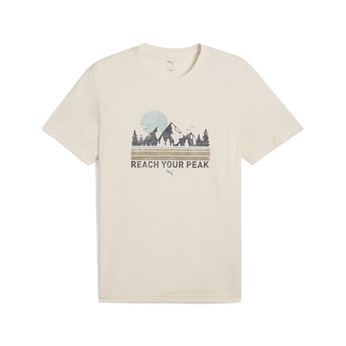 PUMA Men's Standard Running Graphic T-Shirt, Alpine Snow SS25, Large