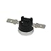 Limit Thermostat