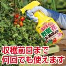 アース製薬 あめんこ 1000ml