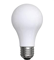 GE Lighting 67770 Reveal 43-Watt