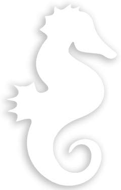 Amazon 白いビニール タツノオトシゴ 型ステッカー 愛 かわいい 海の生き物 ステッカー デカール 車 バイク