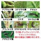 アース製薬 アースガーデンT 1000ml