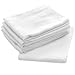 Birdseyes Flat Cloth Diapers 27x27 (6-pack)