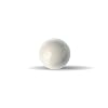 21YCMWAMvYL. SS100 18-INCH-Ceramic-Ball-Al2O3-Grade-10-EA