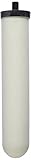 Doulton W9124020 Chlorasyl Ceramic 10 Inch Filter