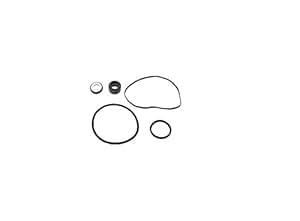 Amazon.com : Pool Pump O-ring Seal Repair Kit For Hayward