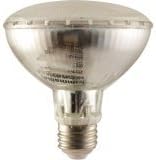 Digitron GDLED-P30-8W-3KSW PAR30 Quartz Glass LED Light Bulb 8-watt, Silver by Digitron