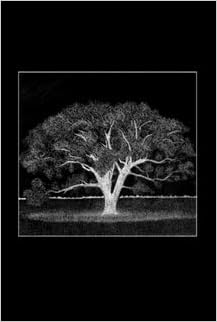 Ubuntu Grier Barnes Amazon Com Books