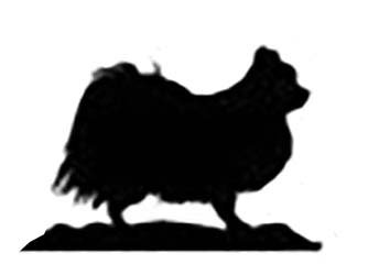 Chihuahua Long Haired Dog Lovers Gift Wind Chimes Beautiful