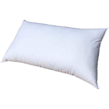 Amazon Com Ikea Inner Cushion Throw Pillow Insert 16 X 26