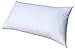 Pillowflex Plush Pillow Insert - Ocean Cycle New Life Synthetic Fiber Filling - 12x16 Machine Washable, Ultra Soft Throw Pillow, Small Lumbar Bed Sleeping Pillow - 1 Decorative Accent Form