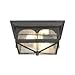 Home Decorators Collection Flushmount 2-Light Outdoor Aged Iron Lantern