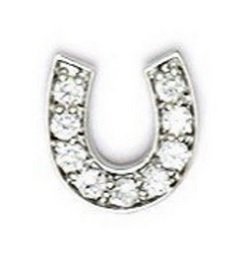Horseshoe Floating Charm For Origami Owl Living Locket Buy