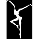 Boston Deals USA Dave Matthews Band Decal Sticker Vinyl Car Home Truck Window Laptop (5.5