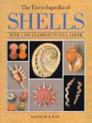 Scientific Shell Book The Encyclopedia of Shells in Kuwait | Whizz Science & Math
