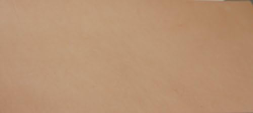 Price Leather Company 12"x 24" Pre-cut Herman Oak Leather Tooling Piece 7/8oz