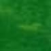 TransTint Dyes, Green