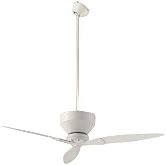 ダイコー シーリングファン ホワイト 吹き抜け 傾斜天井 リモコン 簡易取付 Svietimocentras Lt