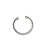 Husqvarna Part Number 532174580 Retaining Ring primary