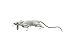 Savage Gear R-200-WH 3D Rat Bait