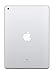 Apple iPad (Wi-Fi, 32GB) - Silver (Previous Model)