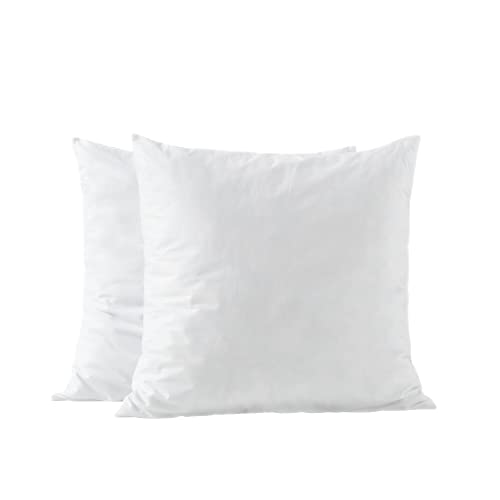 Basic Home Euro-Kisseneinlagen, Memory-Schaum-Füllung, hohe Dichte, mit Langer Unterstützung, für Zuhause, Couch, Hotel-Kollektion, Baumwollstoff, 28 x 28 cm, 2
