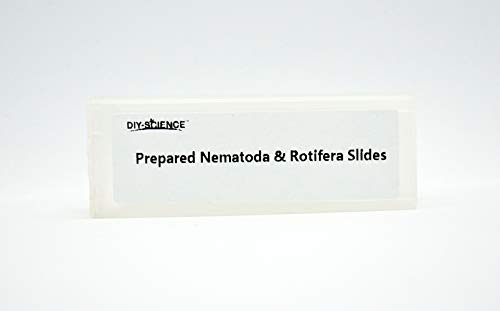 1 DIY+SCIENCE+Prepared+Nematoda+Microscope+Education