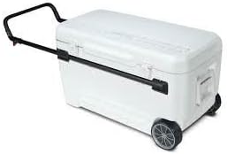 igloo beach coolers