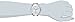 Victorinox Women's 241538 Chrono Classic Analog Display Swiss Quartz Silver Watch
