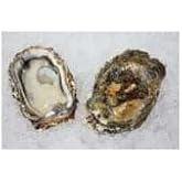 Fresh Kumomoto Oysters - 60 Count (5 Dozen per Box) - 7 Lb Avg, Fruity Flavor, Perfect for Parties, Premium Quality