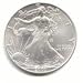 2001 Silver American Eagles - Brilliant Uncirculated