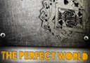 The Perfect World (DVD and Deck) Mago Migue and Luis De Matos