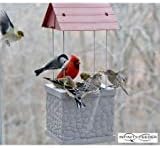 Infinity Wild Bird Feeder For Patio Backyard Home & Garden Wild Birds