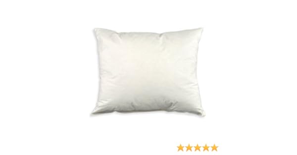 Amazon Com 20 X 26 Down Pillow Form 5 95 Home Kitchen