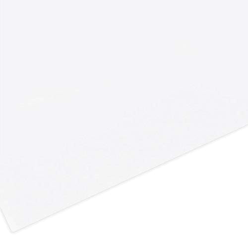 Amazon 新 鳥の子紙 70kg 八つ切 白色 100枚組 版画用紙 おもちゃ おもちゃ