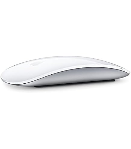 Amazon.com: Apple Magic Mouse (Wireless, Rechargable) - Silver