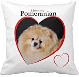 Pomeranian Pillow Case