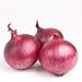 Red Burgundy Onions 3 POUNDS Fresh and Nice Best Quality