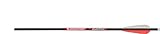 BloodSport 20-Inch Crossbow Bolts (Pack of 6), 0.003-Inch - 8110003
