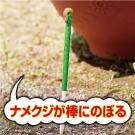 アース製薬 アースガーデン ナメクジかじりん棒 12本入り