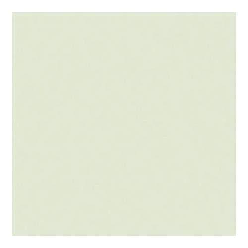 Rosco Cinegel Tough 1/4 PlusGreen, 20