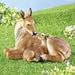 Collections Etc Deer and Fawn Garden Statue Woodland Decoration for Yard, Flowerbed