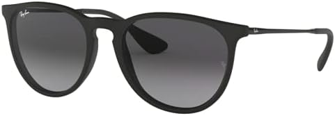 Ray-Ban Womens Erika Polarized Fashion 