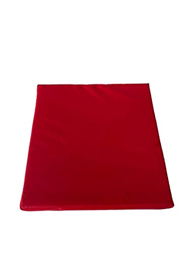 Waterproof Cushion Rattan Seat Pads for Indoor & Outdoor garden chairs dining room seating pad Great for Rattan and generic 40 X40CMX5CM (Red)