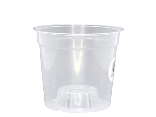 meindekoartikel 12 Orchid Pots for Orchids Plastic Transparent (Diameter 11.5 cm x Height 11 cm)